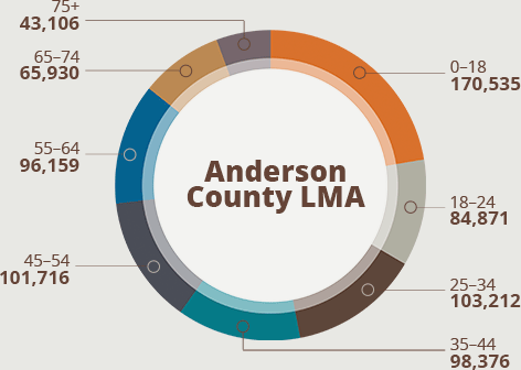 Anderson County LMA Population
