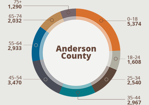 Anderson County Population